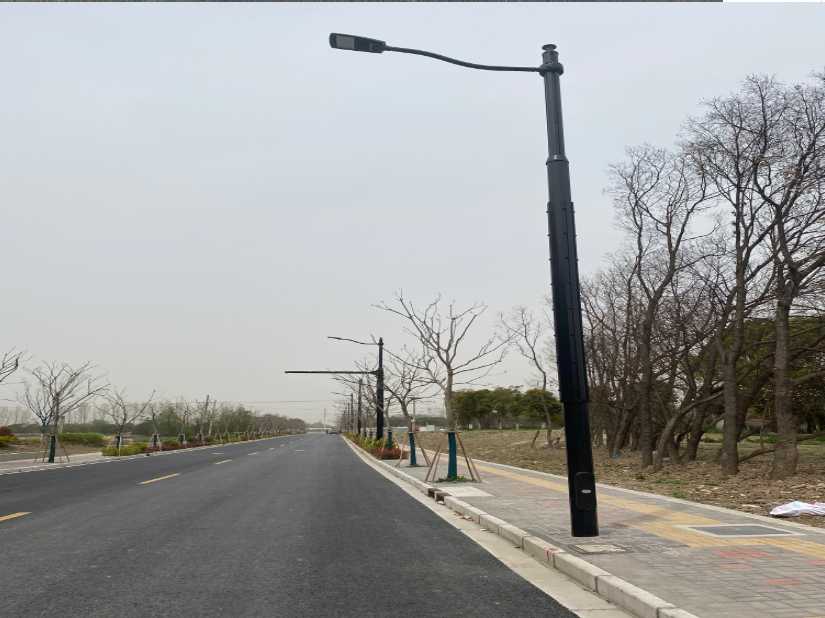 连云区上海综合杆 太阳能路灯工程